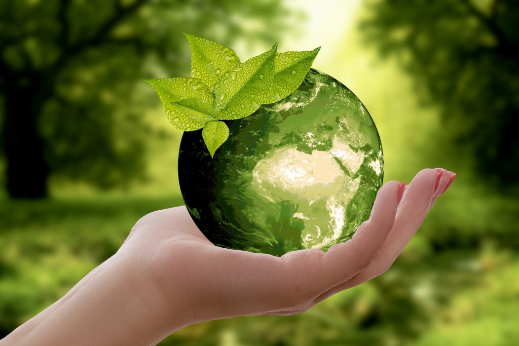 Environnement Environnement